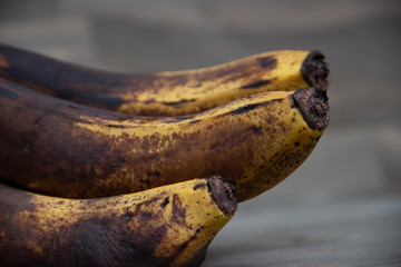 Cacho de bananas mofadas, podres, passadas, pretas