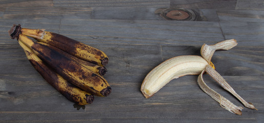Cacho de bananas mofadas, podres, passadas, pretas