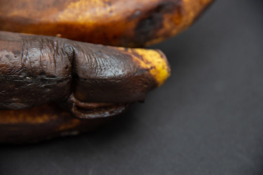Cacho de bananas mofadas, podres, passadas, pretas