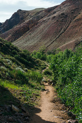 Fototapeta premium lonely stone path among trees and rocks, hiking in mountains, traveling through valley