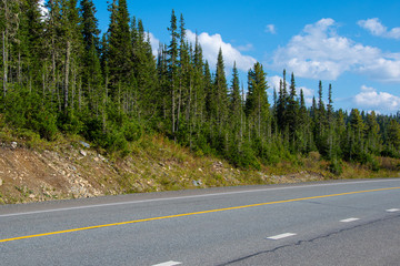 dry asphalt road with marking lines in forest, road trip to mountains