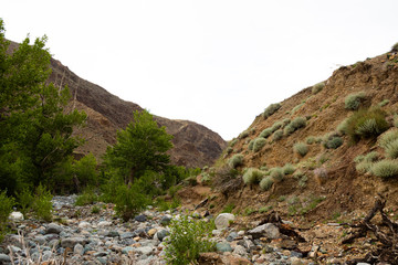 mountain canyon with red soil, river valley with gorges and green trees, soil erosion, formation of ravines from drought