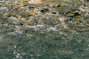 stream in stone bed, fast mountain river among rocks, water boils in eddies of current