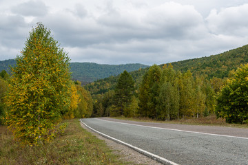 road in autumn forest with yellow leaves, asphalt pavement with markings, mood of nostalgia in journey