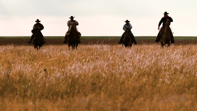 Four cowboys silhouetted ride through a grassy field in slow motion