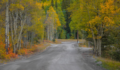 rural road in south west Colorado during early autumn