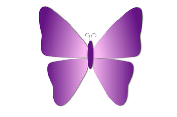 Mixed color purple butterfly illustration