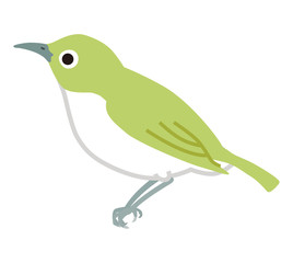 メジロ　シンプルスタイル - 左向き