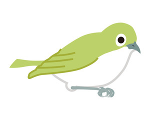 メジロ　シンプルスタイル - 右向き