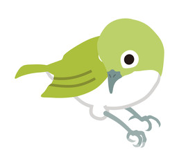 メジロ　シンプルスタイル - 下向き