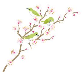 桜の枝とメジロ - 3羽