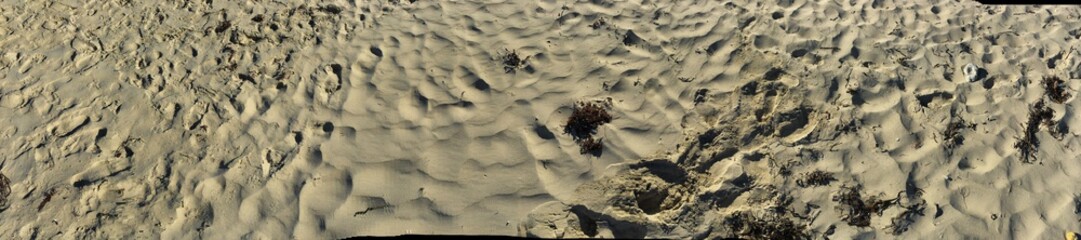 Magnifique sable fin d'une plage de Varadero, Cuba