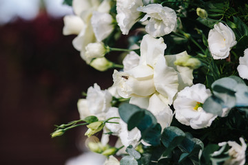 Composition of fresh flowers for an outdoor wedding ceremony. Wasp on a white flower.