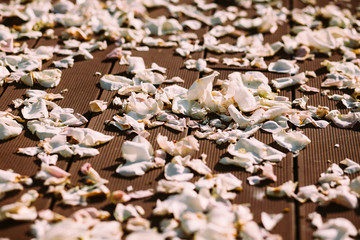 Petals of white and pink roses on the floor.