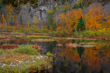 Fall foliage by creek in autumn time near Grandes Piles in Quebec province.