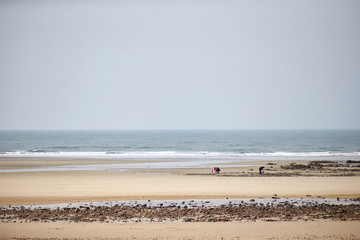 Kkotji Beach in Taean-gun, South Korea