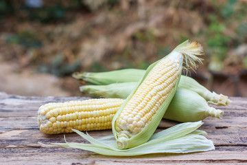 Corn on the wooden table on the farm