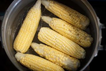 Corn on the wooden table on the farm