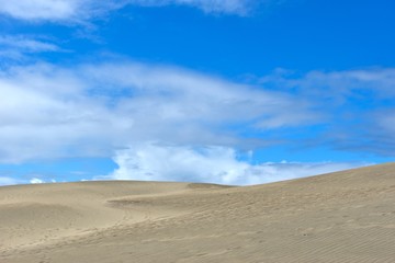 Fototapeta na wymiar The brilliant blue sky over the enormous dunes of Sigatoka Sand Dunes National Park in Fiji.