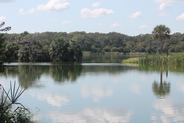 lake in forest