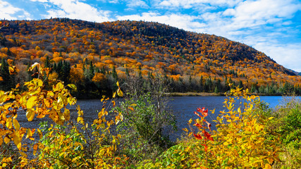 Autumn landscape in Parc de la national Jacques Cartier