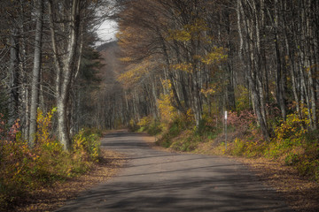 Fototapeta premium Scenic road through Parc de la Jacques-cartier national park near Quebec city