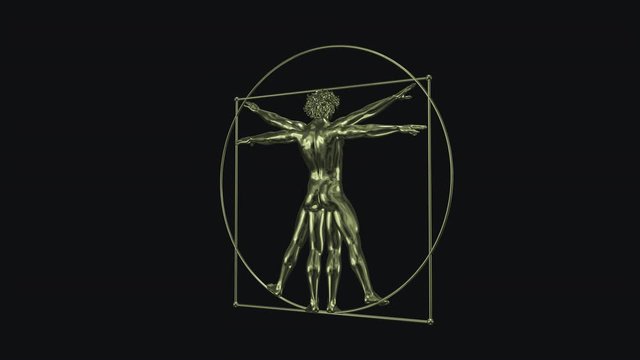 Vitruvian Man - Renaissance Symbol - Golden Model - Spin Loop