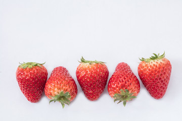 木の上にトロピカルフルーツ Fruits Summer Resort 果物 かわいい Wall Mural 健二 中村 木の上にトロピカルフルーツ Fruits Summer Resort 果物 かわいい Wall Mural 健二 中村