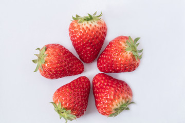 木の上にトロピカルフルーツ Fruits Summer Resort 果物 かわいい Wall Mural 健二 中村 木の上にトロピカルフルーツ Fruits Summer Resort 果物 かわいい Wall Mural 健二 中村