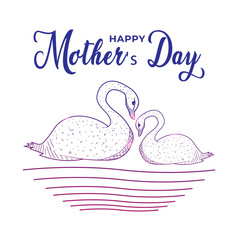 Colorful silhouette swans vector