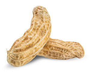 peanut isolated on white clipping path