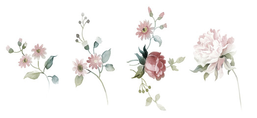 Flowers watercolor illustration.Manual composition.Big Set watercolor elements.