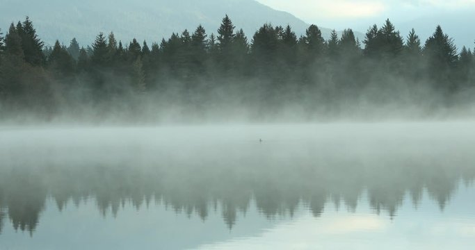 Rolling fog over calm lake in Whistler, Canada. 