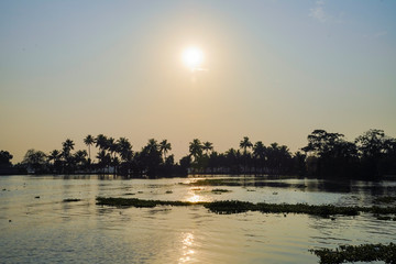 beautiful Sea side sunset behind coconut trees in Kerala India. 