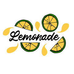Hand drawn lettering inscriptions about Homemade Lemonade with lemon. Hand drawn text sticker kit on healthy cooling drinks, posters