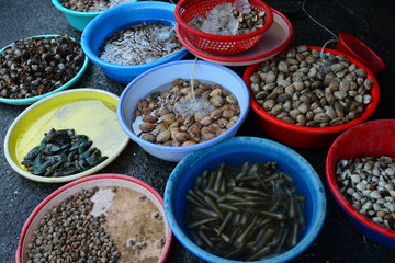 Fresh seafood Sell in fresh seafood market