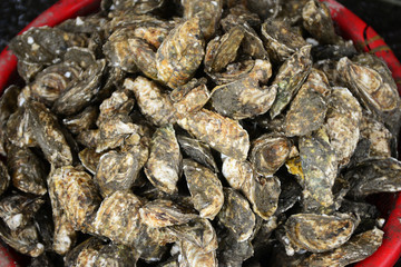 Oysters Sell in fresh seafood market