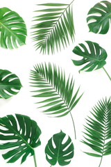 Fototapeta na wymiar tropical green palm, monstera leaves , branches pattern isolated on a white background. top view.copy space.abstract.