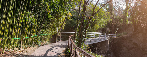 National Botanical Garden Tbilisi Georgia view and nature sightseeing of local flora and fauna. Bridge view.