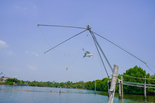 Chinese fishing nets or cheena vala are a type of stationary lift net, located in Kochi in Cochin, India