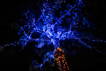 Glowing blue lanterns hang on trees in nature