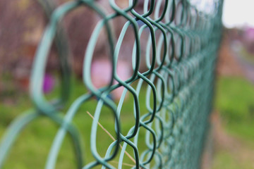 green fence