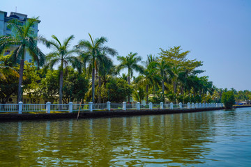 Beautiful river side tree and house view in kochi Kerala India.