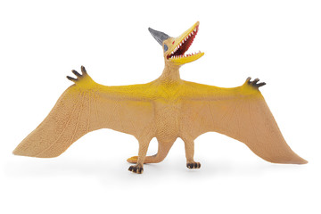 Pteranodon toy, flying reptile. Isolated on white background with natural shadow. Prehistoric flying lizard. © peter
