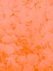 Beautiful abstract color red and orange flowers graphic on colorful background, yellow and pink flower frame and orange leaves texture, pink background, colorful graphics banner happy valentine