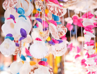 Sea shells hang on the ropes