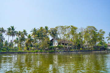 Fototapeta na wymiar Beautiful river side tree and house view in Kerala India.
