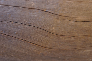 Naklejka premium wood bark texture closeup for natural brown abstract bacgkround