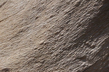 Embossed texture of the bark of trees. the vintage photo style of the old bark tree texture abstract background.