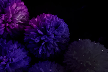 Beautiful abstract color blue pink and purple flowers on black background and blue graphic white flower frame and pink leaves texture, purple background, colorful flowers graphics banner 